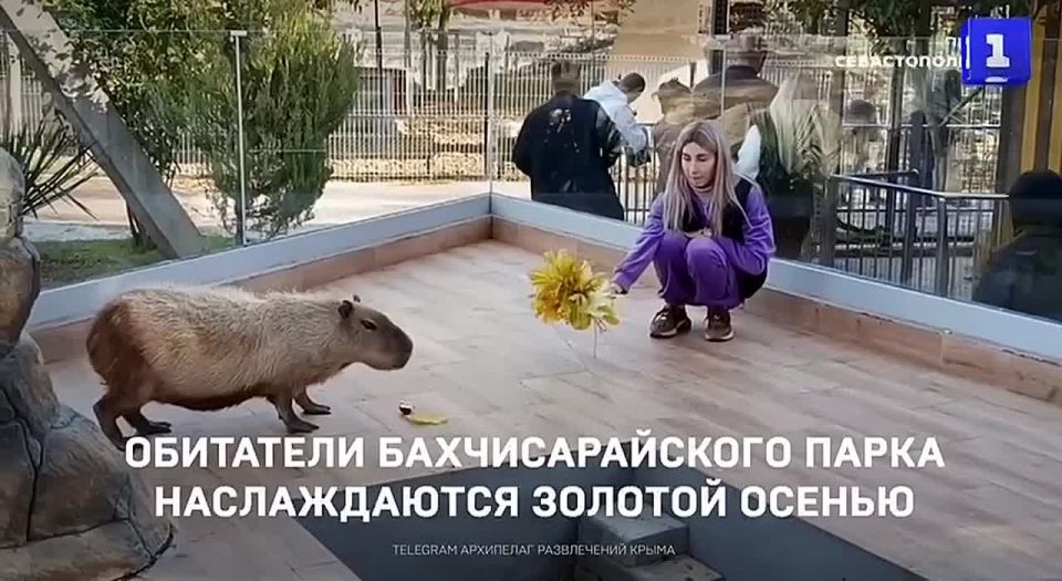 ��������� ��������������� �������� ������������ ������� ������