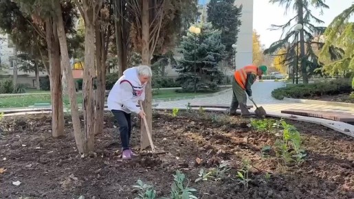 В Севастополе активно высаживают цветы к весне