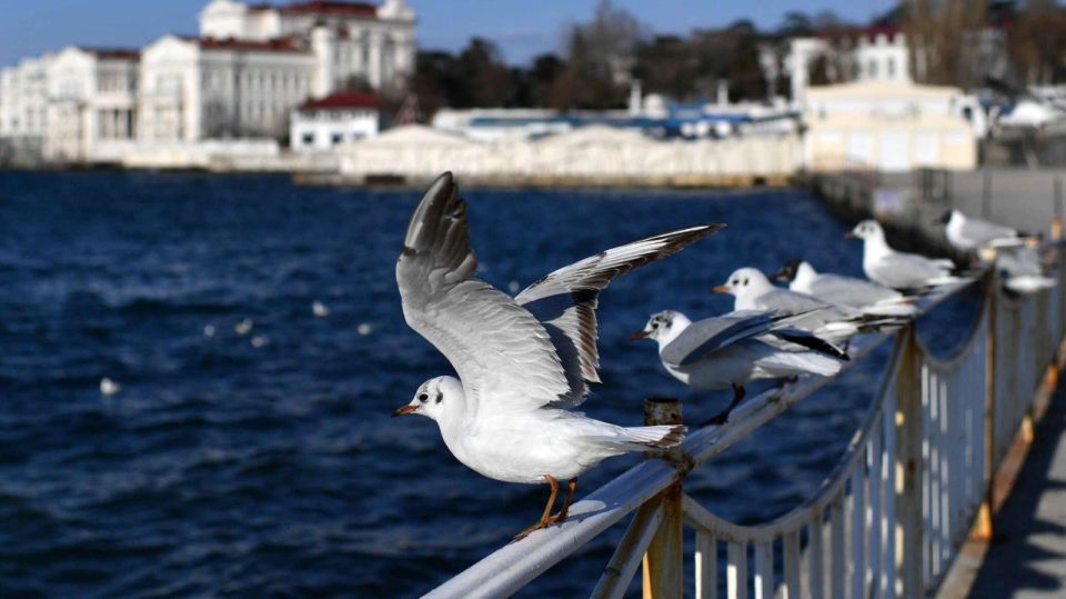 Сильный ветер прогнозируется завтра в Севастополе!
