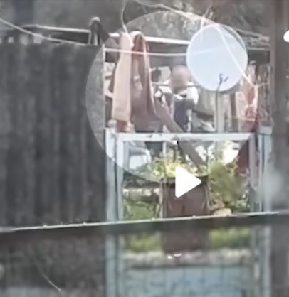 В Белогорском районе Крыма полиция проводит проверку жестокого обращения с домашними животными