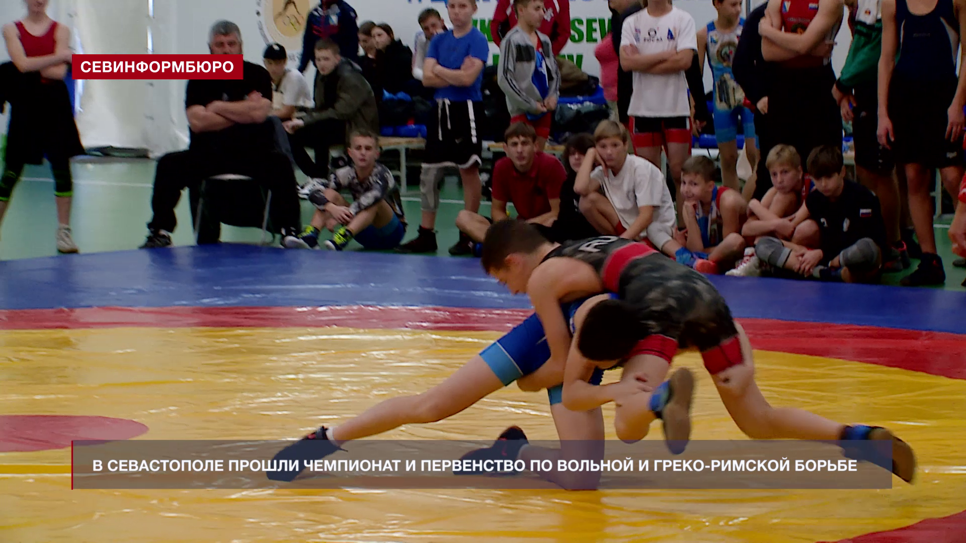Севастопольские борцы соревновались в двух олимпийских дисциплинах за место в сборной города