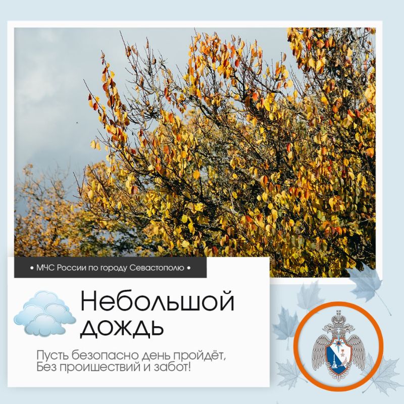 Доброе утро, Севастополь!. По данным гидрометцентра, 19 ноября в Севастополе будет облачно с прояснениями