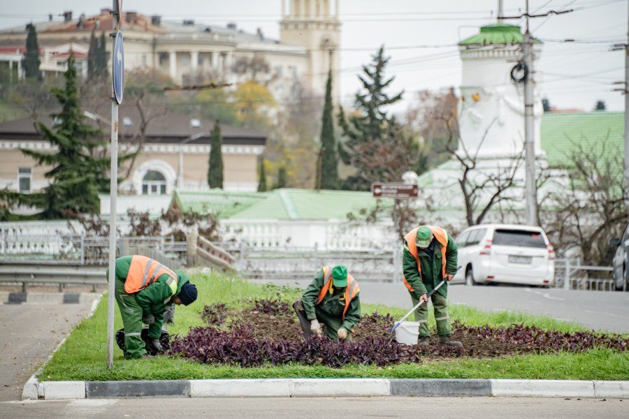 В городские клумбы высадили 120 тысяч весенних цветов