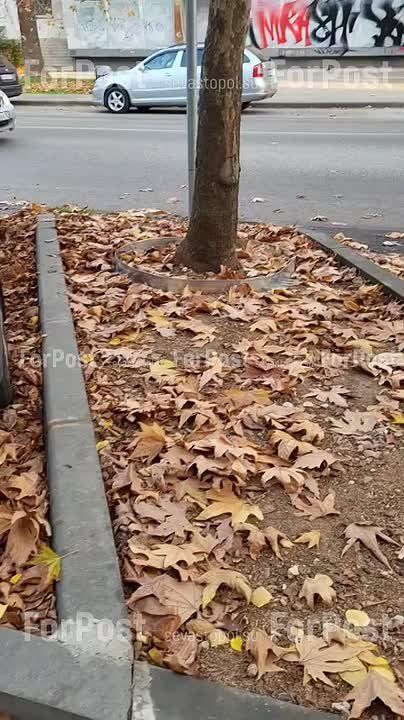 #���_�����. �� ��������� �������� �������� ���������� �������� ����� � ������������ ������