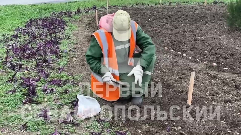 � ����������� ����������� �������� ��������