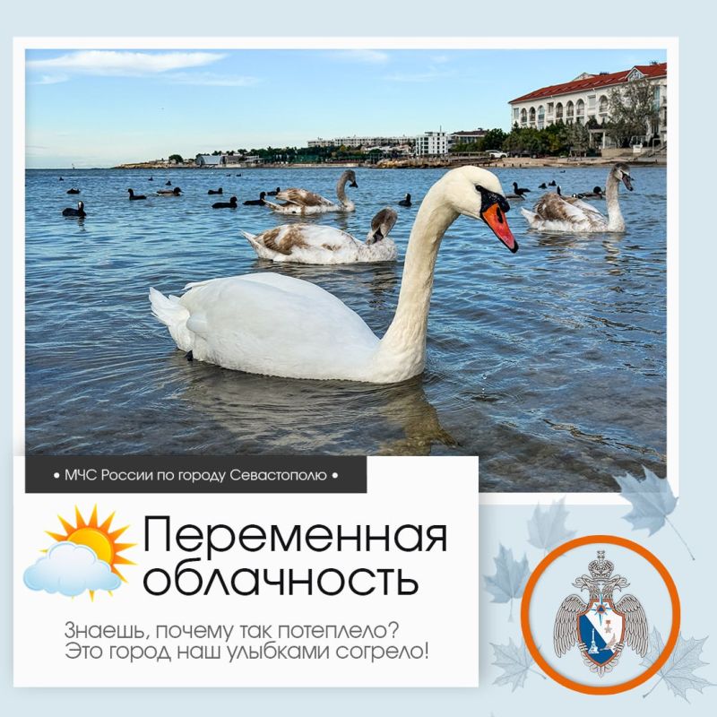 Доброе утро, Севастополь!. По данным гидрометцентра, 20 ноября в Севастополе будет переменная облачность