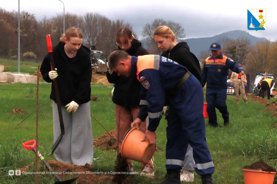 В Севастополе на территории пожарной части в Павловке появилась новая зеленая аллея!