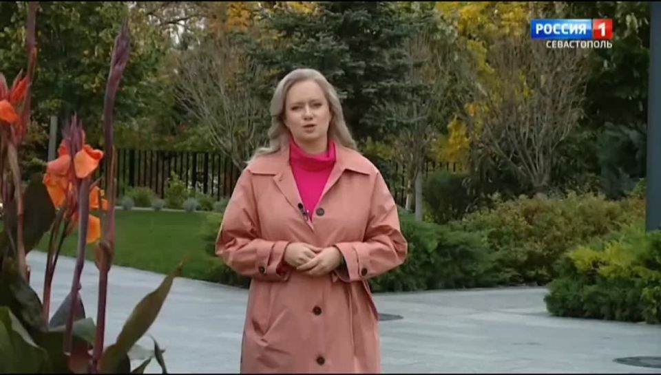 Корреспонденты нашей программы продолжают рассказывать о мамах Севастополя