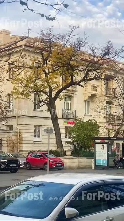 �� ������������ ����� � �������� �� ������� �������, 24 ������� ���������� �����