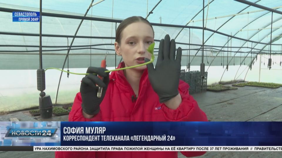 Открыть любимое дело. Как государство поддерживает молодые агропредприятия?