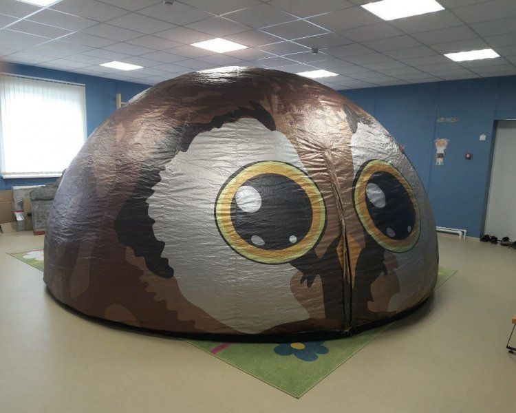 Благодаря нацпроекту «Семья» в Севастополе заключено 463 социальных контракта