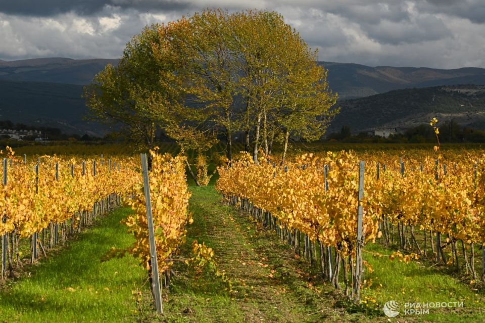 Прогноз погоды в Крыму на четверг