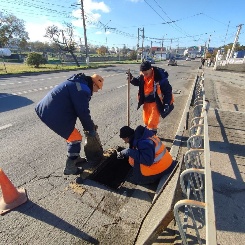 Водоканал: Рабочие моменты. Очищаем ливневые решетки и колодцы от листвы Фото Николая Ермина на ул.Пожарова, ул.Адмирала Макарова, ул.Гоголя
