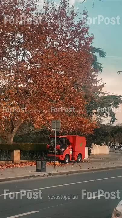 ������� ������� - ��������, �� ������ ����� �� �������