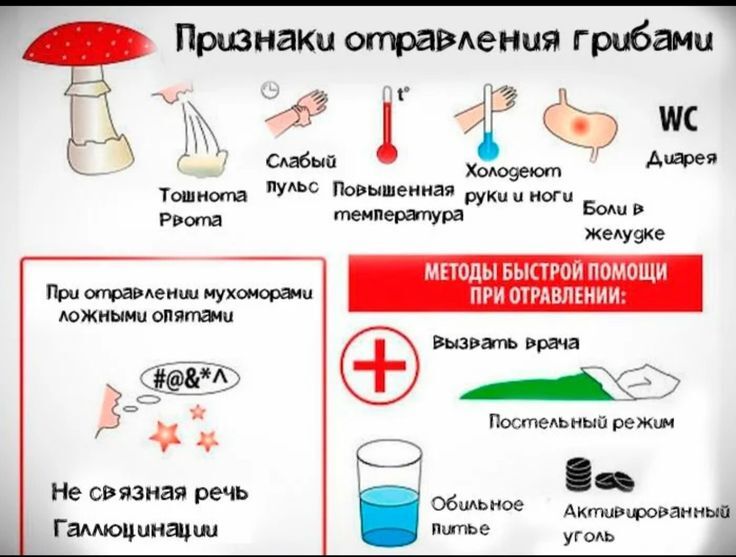 Профилактика отравлений грибами