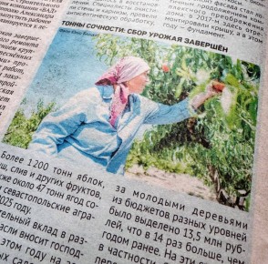 Тонны сочности: Сбор урожая завершён