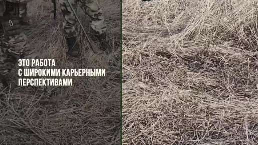 Высокая зарплата, образование и соцгарантии для всей семьи: что еще получают служащие по контракту?