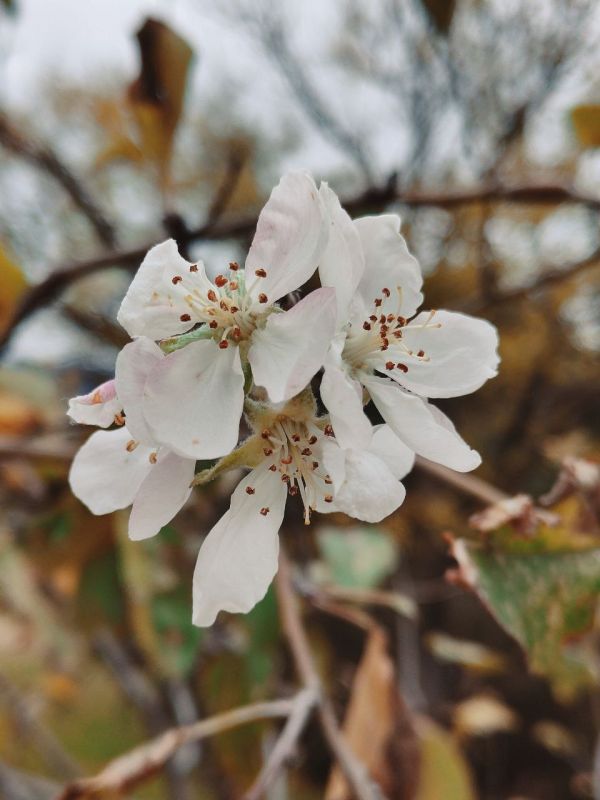 Крым едва не обновил вековой температурный рекорд