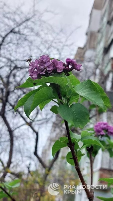 Прогноз погоды в Крыму на воскресенье