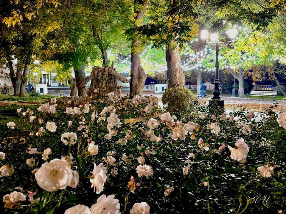 Горсвет: Вечерний Севастополь, 23 ноября 2025 г