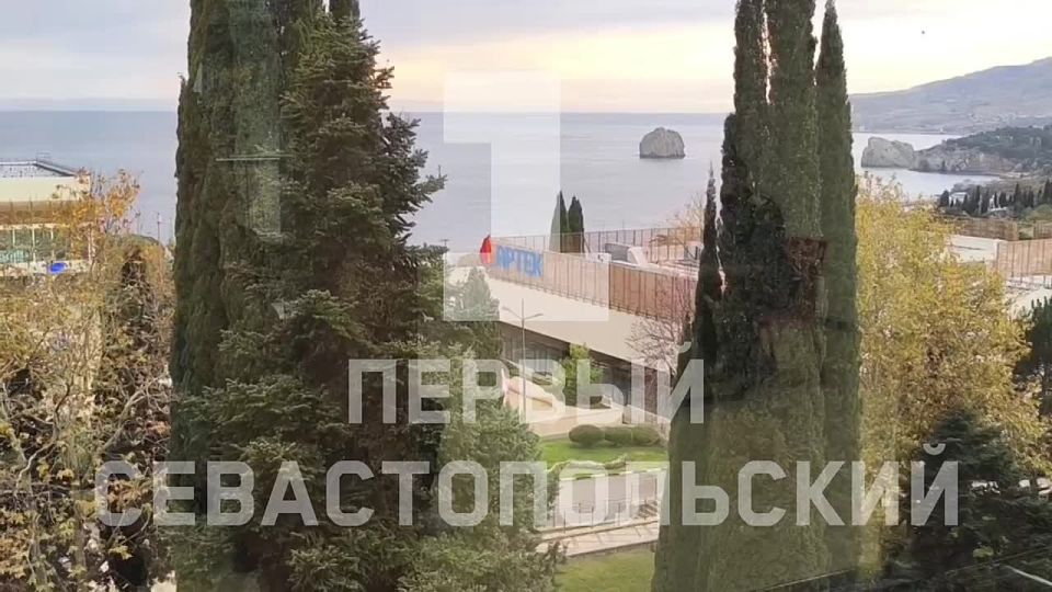 ���� �������� �������� ��� 90 �����, ���������� � ������ ������