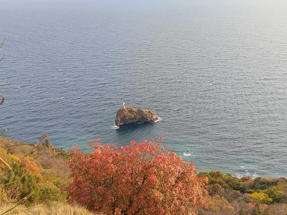 Доброго понедельника, друзья!