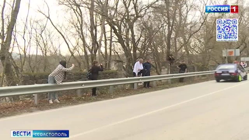 ����� "���������� ������" - � ������� ����� �� ������� ����������