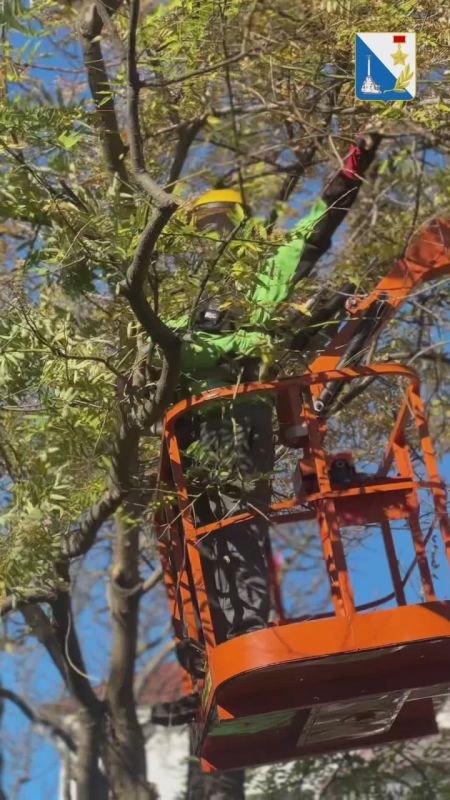 ������� ������ ���� ����������� � ������ ������