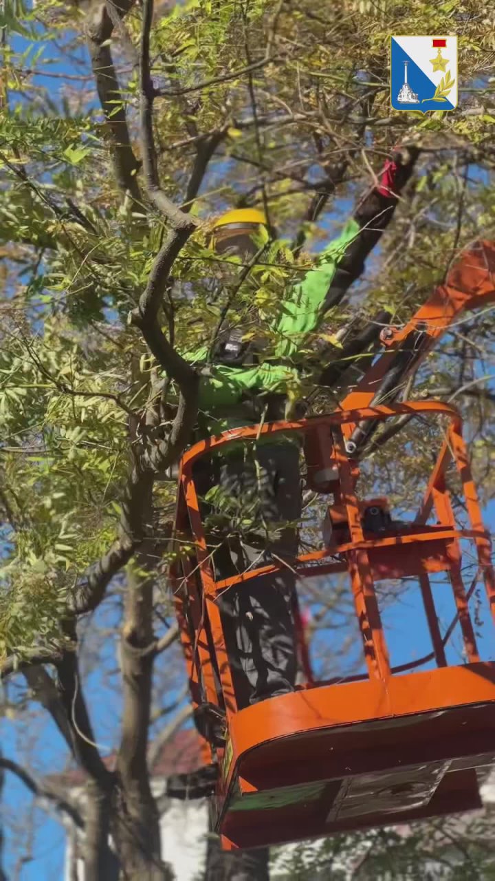 Готовим зелёные зоны Севастополя к сезону ветров