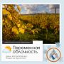 Доброе утро, Севастополь!. По данным гидрометцентра, 25 ноября в Севастополе будет переменная облачность