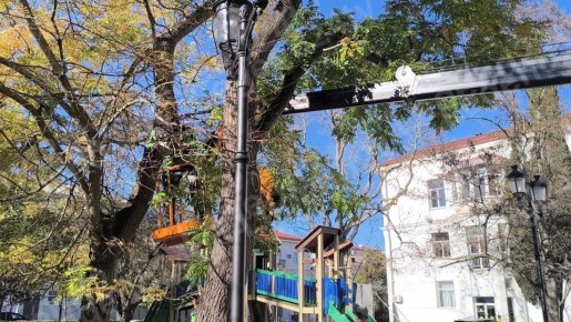 В парке Ленинского комсомола провели санитарную обрезку деревьев