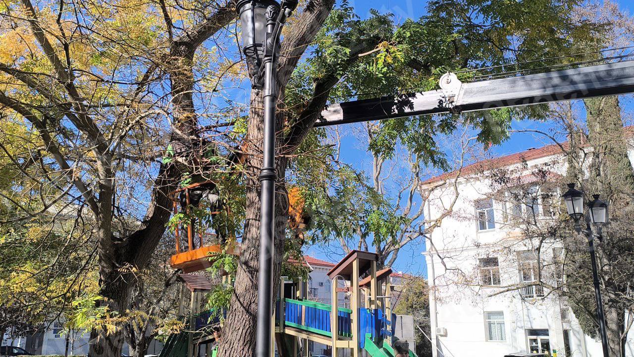 В парке Ленинского комсомола провели санитарную обрезку деревьев