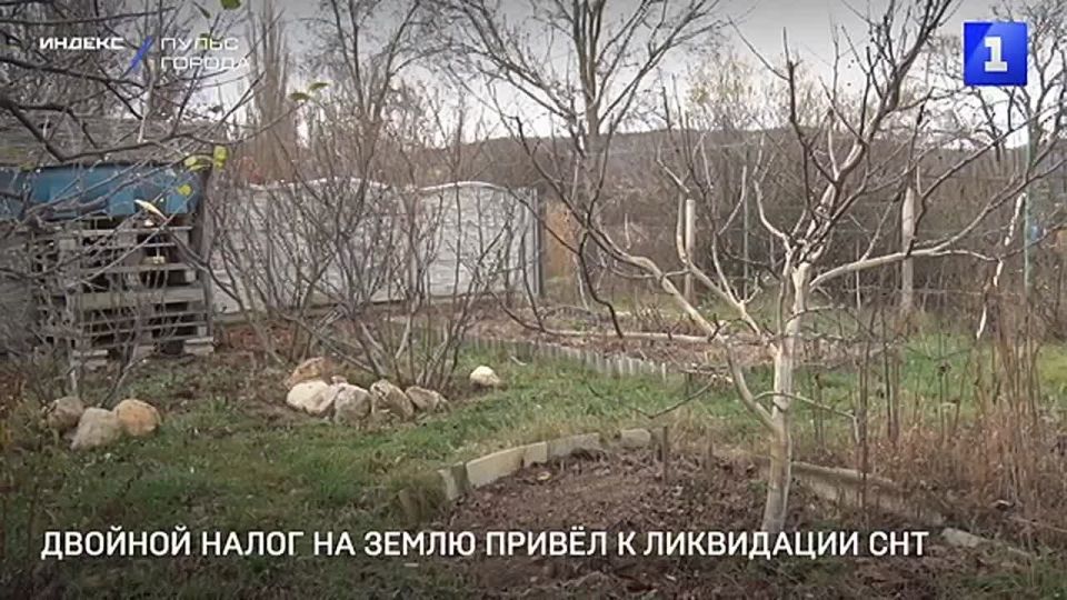 ��������� � ���������� ������ �������� ������� ������� �� ����� � ��� ������� � ���������� ���