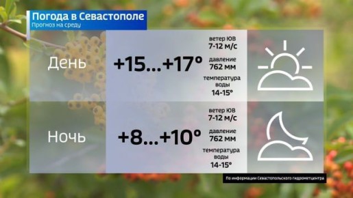  !.      : Telegram | MAX