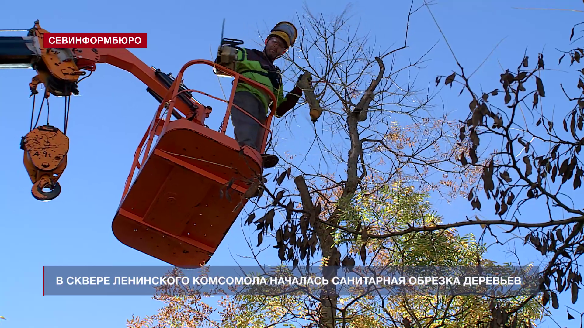 В сквере Ленинского комсомола началась санитарная обрезка деревьев