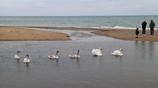   26  2025     :    18 