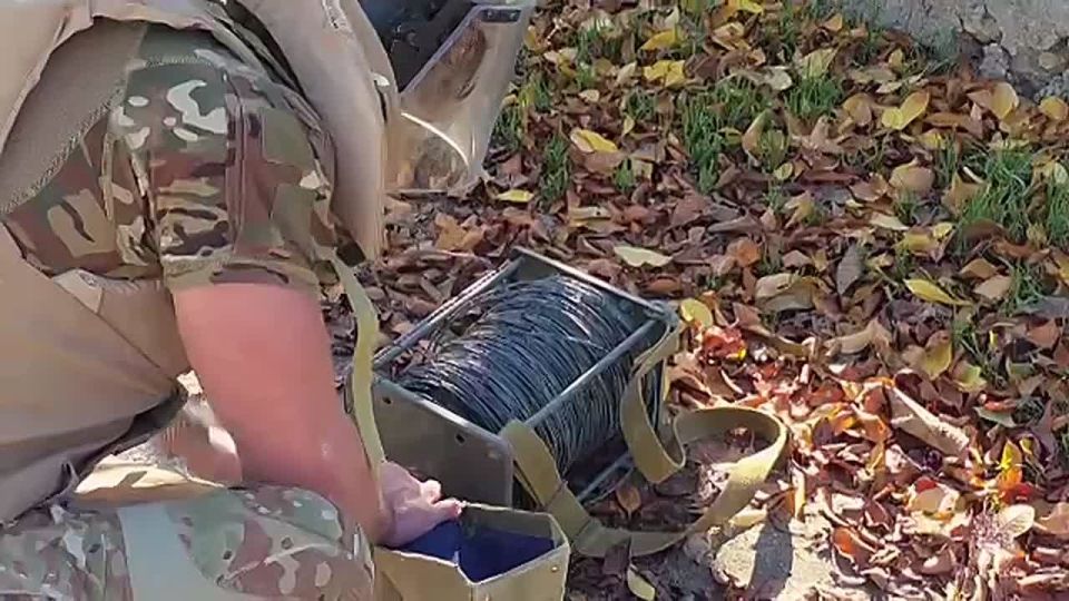 �� ��� ������ �� ����������� ������������ ����� �������������� ���������� ������ ���