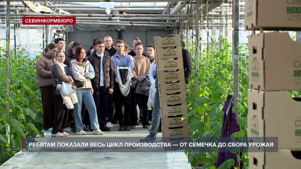 �������� ���������� ����� �17 ��. �.�.��������� �������� ��������� ��������� ������������