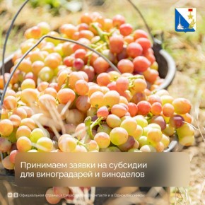 Департамент сельского хозяйства принимает заявки на субсидии для виноградарей и виноделов
