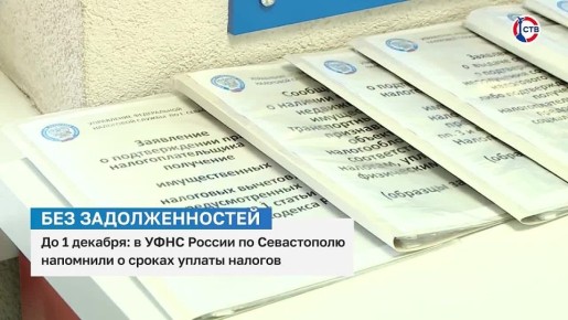 Севастопольцев предупредили о сроке уплаты налогов