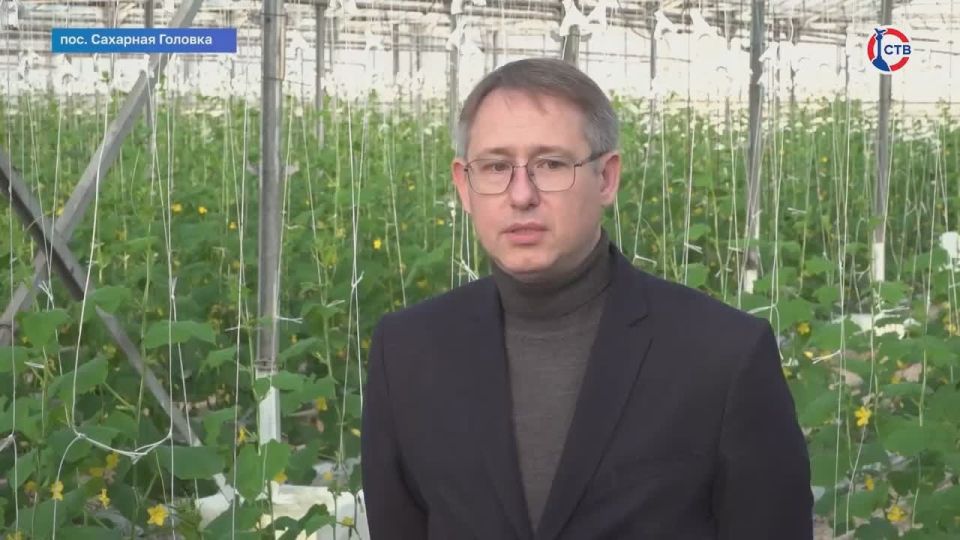 ��������������� ��������� �������� �� ��������������� � �������� �������