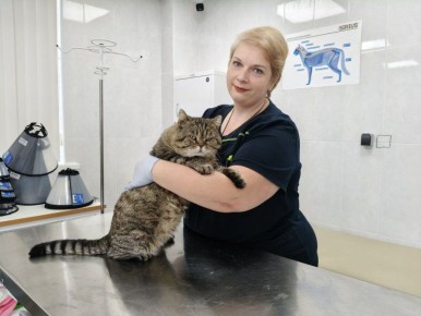 Севастопольские ветеринары рассказали, как позаботиться о своих домашних животных зимой