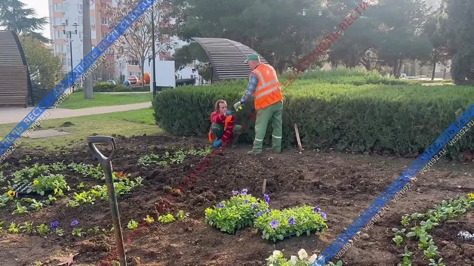 � ������ ����� ���� �������� ������ �������� ������� ������ � ������