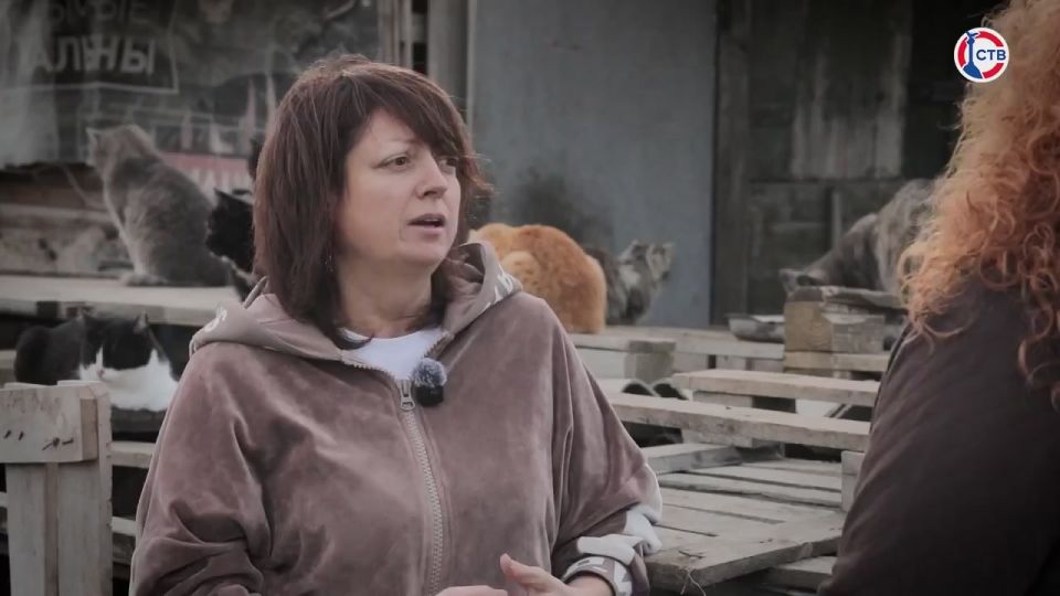 ������ ����������� � ���������, ������� ������ ������ ������� �������