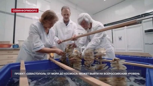 От устриц до звёзд: туристический маршрут из Севастополя идёт на федеральный уровень