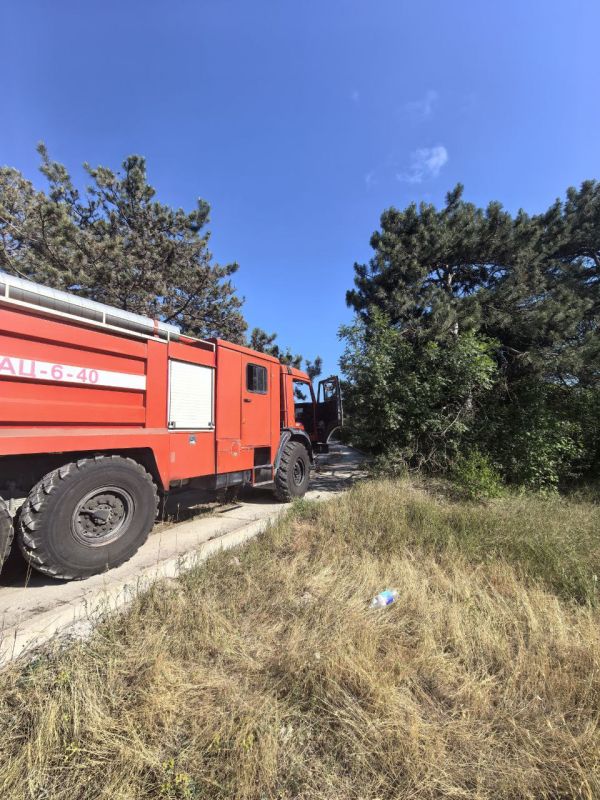 � ���� ���������� ��������� ����� �� ����������� ������������ �� ������� ������ ������� � ��� � ���� ������������ ������������ ������������ ������� ��������� �� ��� �������� ������� �������� ������ ���������������� � �����...