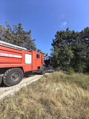 В ходе проведения заседания Штаба по координации деятельности по тушению лесных пожаров в ЮФО и СКФО заместителем руководителя Департамента лесного хозяйства по ЮФО отмечено высокое качество работы Севприроднадзора в части...