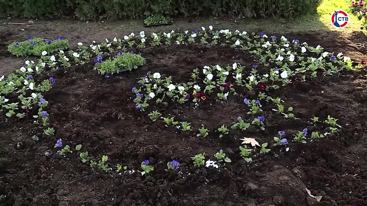 В парке Юрия Гагарина началось оформление клумб по эскизам победителей конкурса «Рисуй цветами»