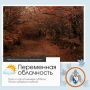 Доброе утро, Севастополь!. По данным гидрометцентра, 29 ноября в Севастополе будет переменная облачность