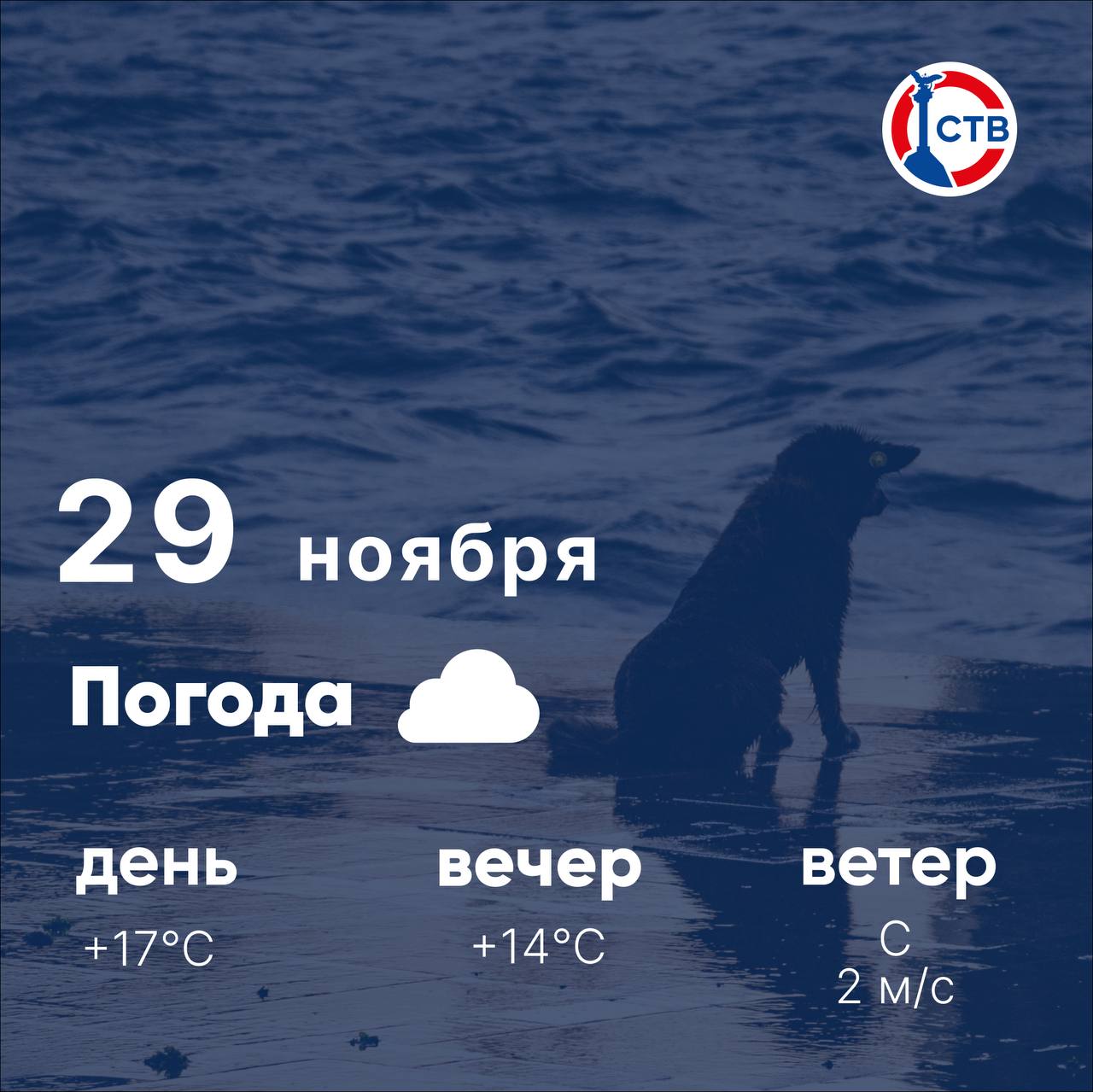 Доброе утро, севастопольцы! Сегодня в городе ожидается переменная облачность, без осадков